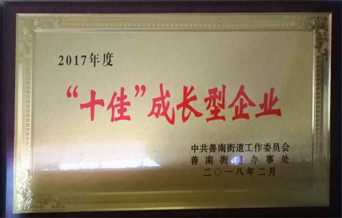 十佳成長企業(yè)